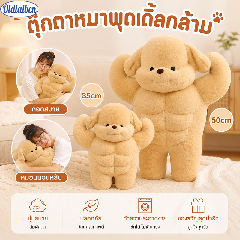 Oldlaiben ตุ๊กตาพุดเดิ้ลกล้ามเนื้อนุ่ม ตัวอ้วนกลม ขนฟูน่ากอด ไส้ PP นุ่มสบาย ผ้านุ่มละมุน มี 2 ขนาด 35/50 ซม.