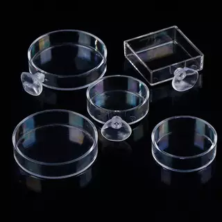 CozyNest 🔥พร้อมส่ง🔥 ที่ให้อาหารปลาอะคริลิคใส Aquarium Feeder กล่องอาหารปลาและกุ้ง แบบกลม/สี่เหลี่ยม อุปกรณ์ตู้ปลา ป้องกันอาหารกระจาย
