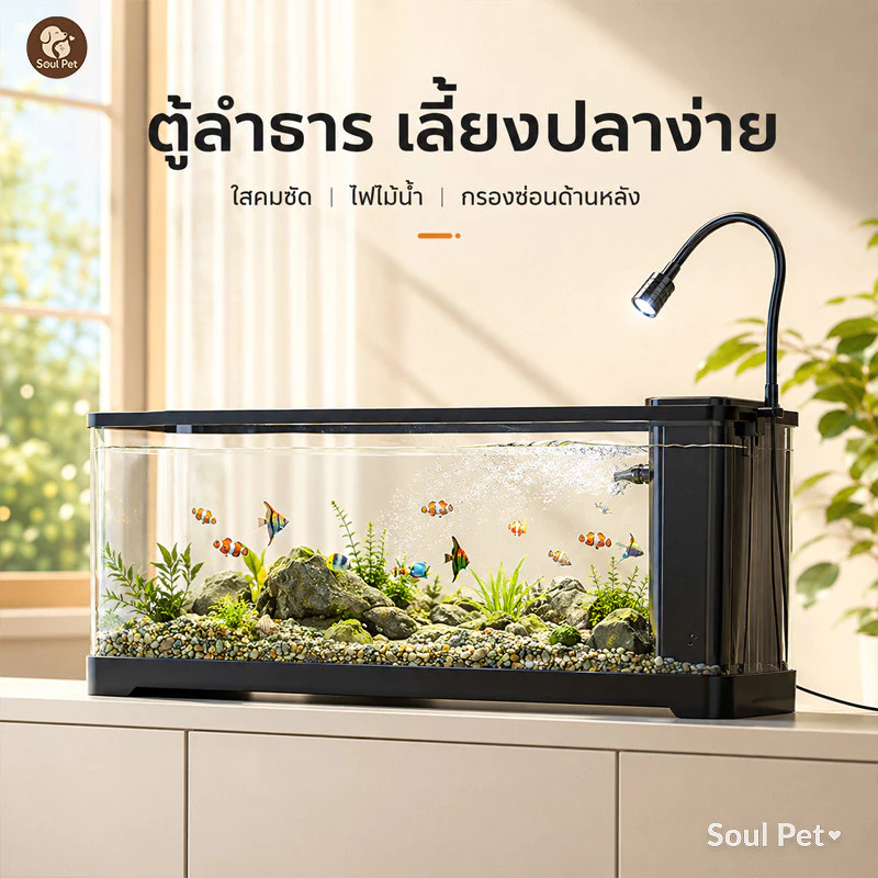 ตู้ปลา 24 นิ้ว ตู้ปลากรองในตัว น้ำตกใส HD ตู้ปลาเล็ก ปลาสวยงาม กุ้ง เบตต้า ตั้งโต๊ะ มือใหม่