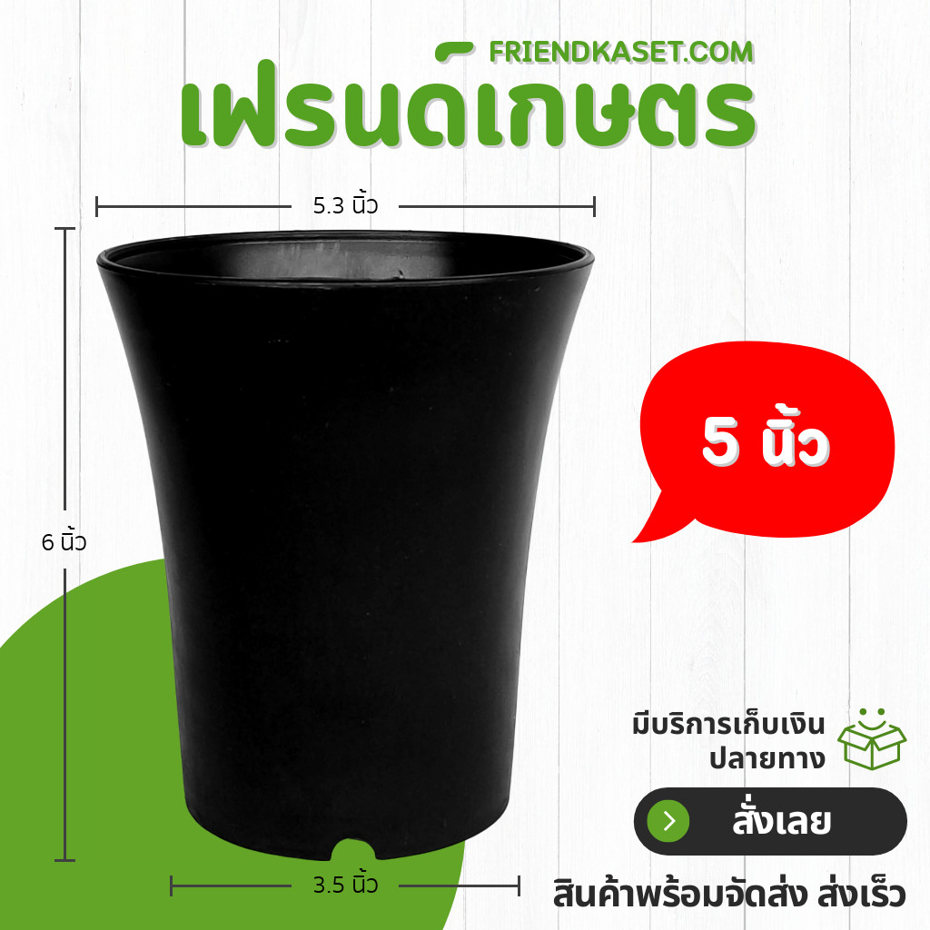 กระถาง กระถางแคคตัส กระถางปากแตร 5 นิ้ว สีดำ ขั้นต่ำ 10 ใบ ชิ้น อัน