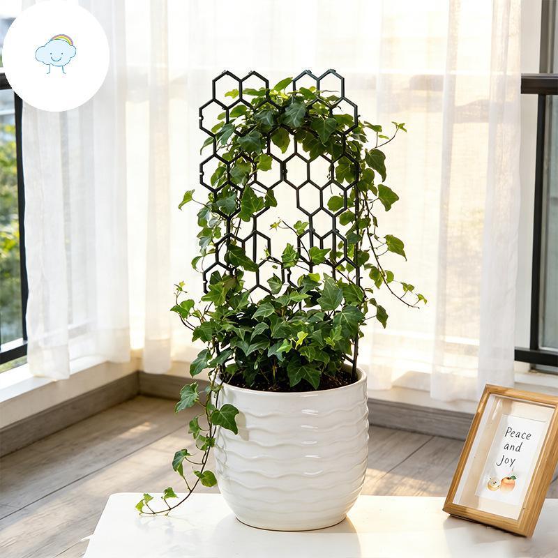 TWOE กระถางต้นไม้ Hoeb Trellis 1 5 ชิ้นสนับสนุนพลาสติกช่วย Vines และดอกไม้ Climb สําหรับตกแต่งบ้านแล