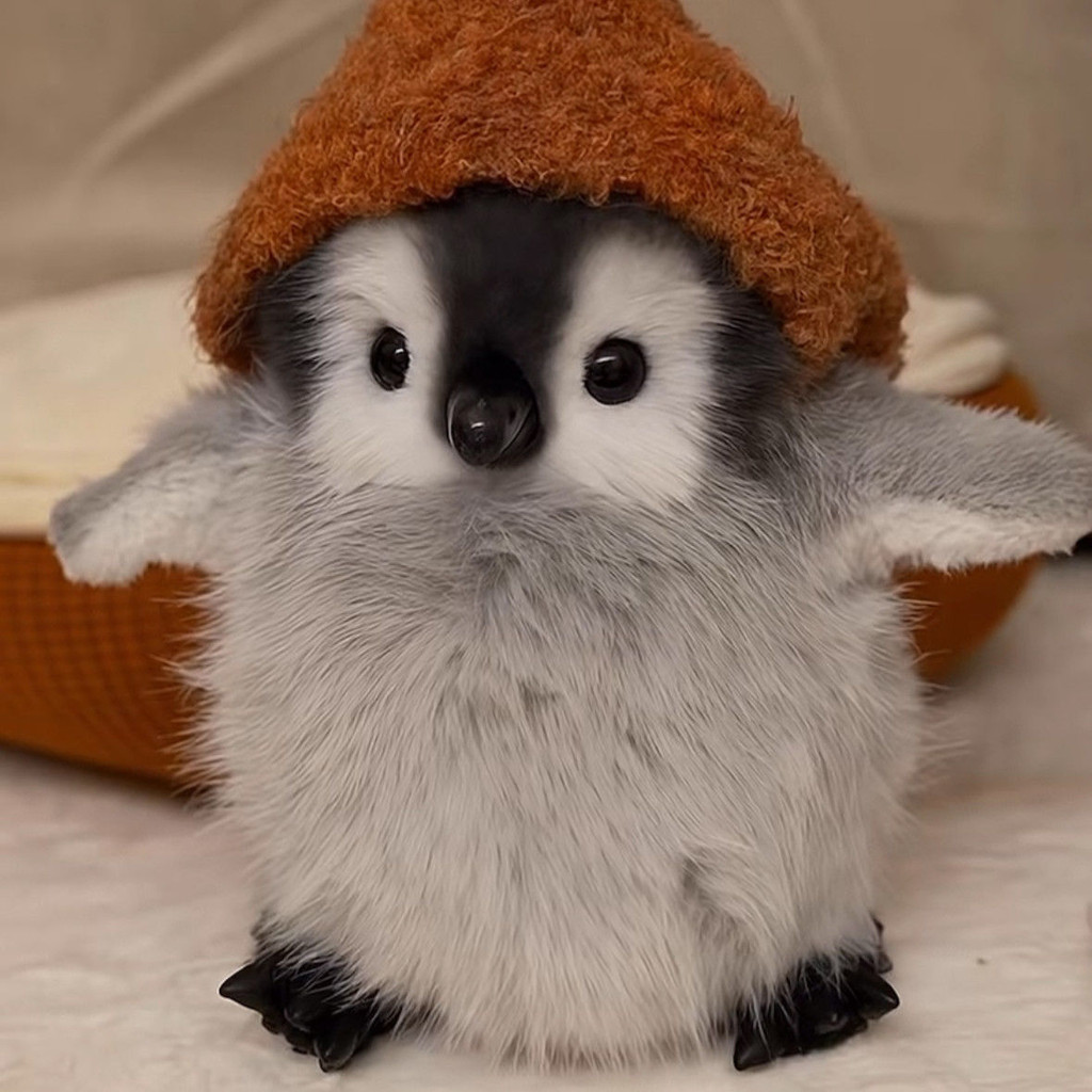 น่ารักเพนกวินของเล่นตุ๊กตาจําลองนกเพนกวินน้อยง可爱毛绒玩具 พราวมาร์ท 公仔裤女生日礼物儿童ม.ค14