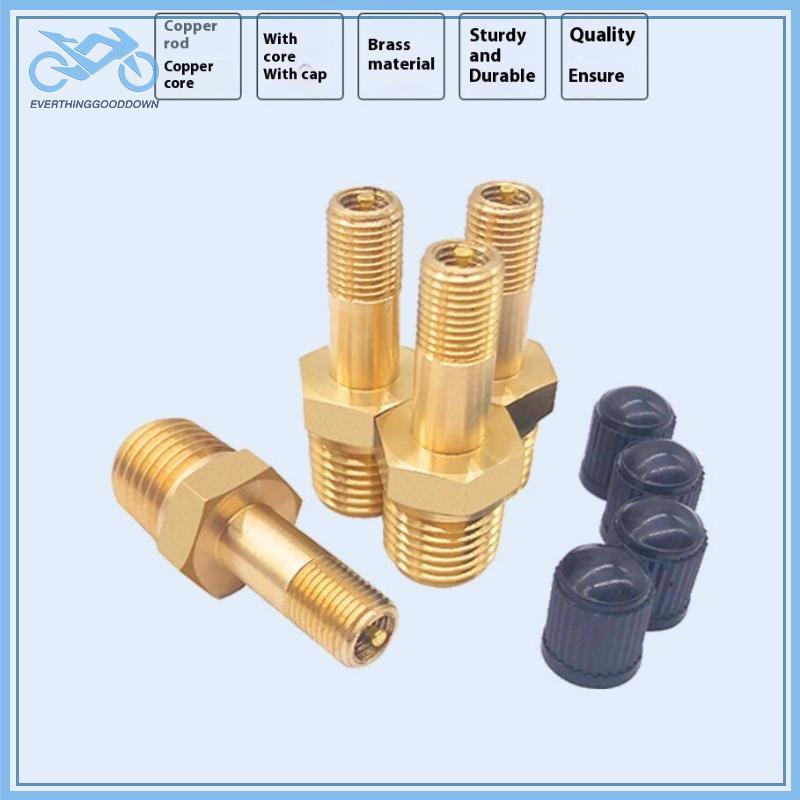 EVER 1 ชิ้น Anti-Corrion Schrader วาล์ว 1/4 NPT 1/8 NPT M10 Air Compressor ถังเติมวาล์วยางรถยนต์วาล์