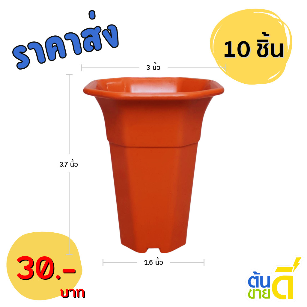 กระถางแคคตัส กระถางเหลี่ยม กระถางปากแตร 3 นิ้ว สีอิฐ ขั้นต่ำ 10 ใบ ชิ้น อัน