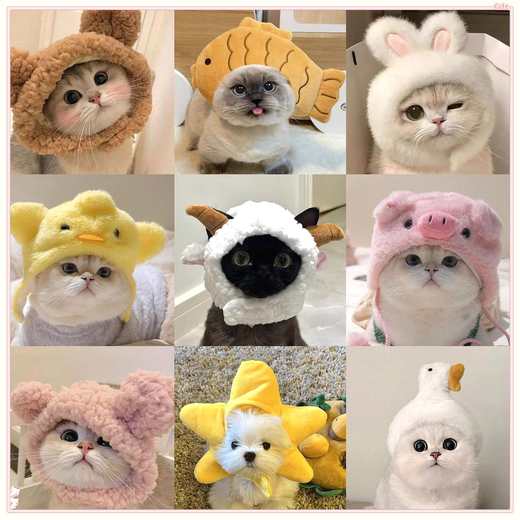 หมวกสัตว์เลี้ยงหมวกแมวสุนัขสามารถใช้สัตว์เลี้ยง Cross-Dressing หมวกหมวกสัตว์เลี้ยง Influencer Panda Lion Taiyaki หนึ่งขนาด