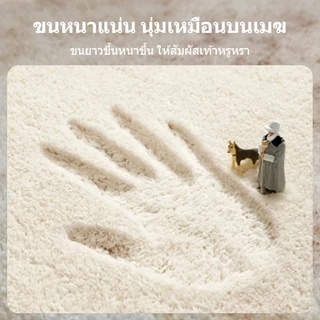 VELOREE พรมปูพื้นห้องรับแขก พรมมินิมอล พรมขนสั้นขนาดใหญ่ หนานุ่ม พรมเช็ดเท้าห้องนอน ผ้าแคชเมียร์เทียม 160/200/230 ซม.