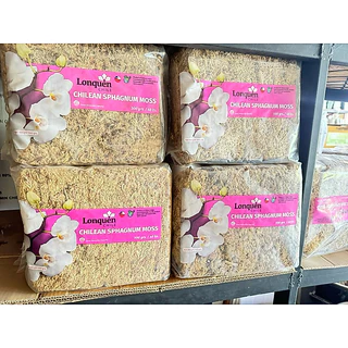 สแฟกนั่มมอส มอสชิลี ปลูกต้นไม้ 1 kg. (Chilean Sphagnum Moss)