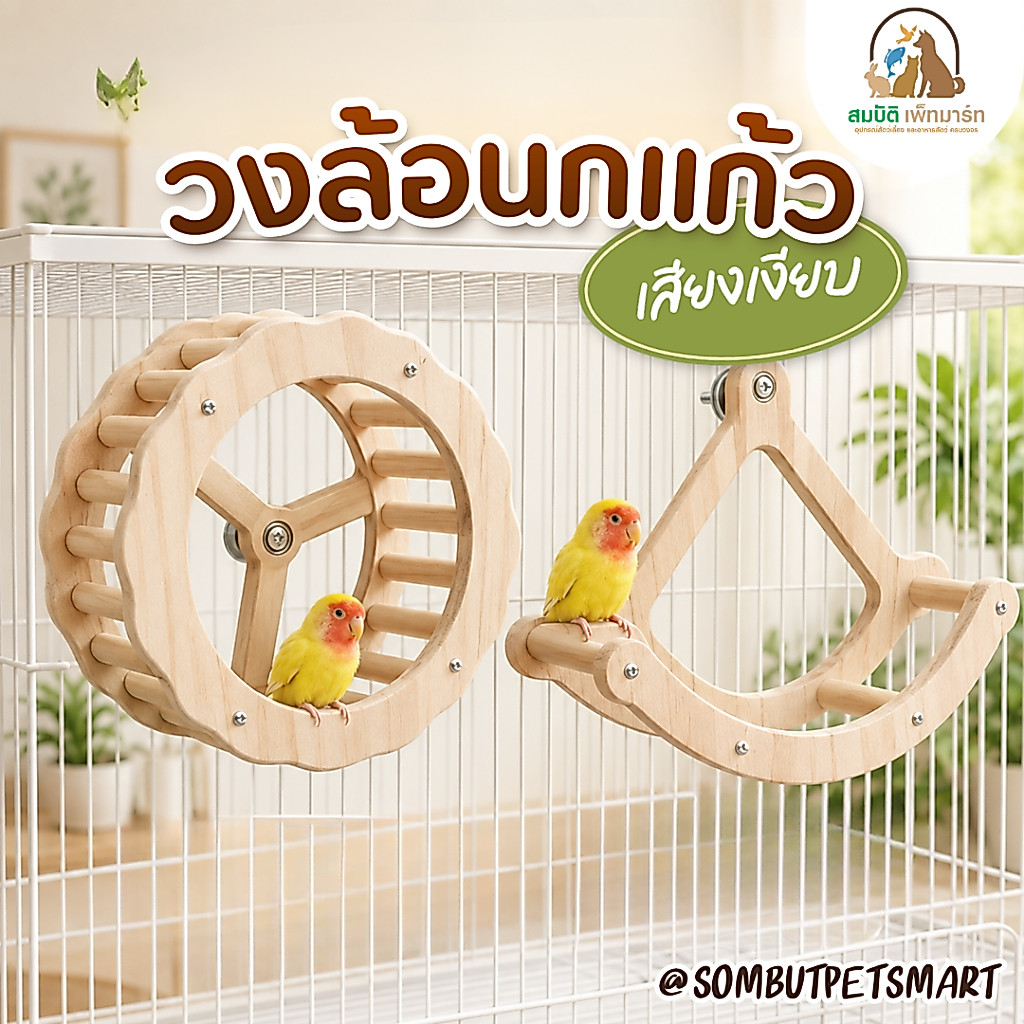 ของเล่นนกแก้ว ของเล่นไม้ธรรมชาติ 🦜 วงล้อไม้เสียงเงียบ  คอนไกวชิงช้าไม้ สำหรับนกแก้ว นกขนาดเล็ก-กลาง ติดกรงง่าย