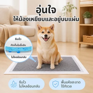 SKISOPGO แผ่นรองฉี่สุนัข รุ่นชาโคล แผ่นรองฉี่แมว ช่วยฝึกขับถ่าย การดูดซับน้ำ6ชั้น ระงับกลิ่นได้ดี