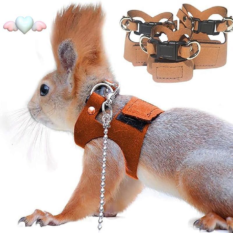 💕จัดส่งจากประเทศไทย💕 COD 3 ชิ้นสัตว์เล็กสายรัดสายจูงชุดเสื้อกั๊กกระรอก Gerbils Chinchillas Rats