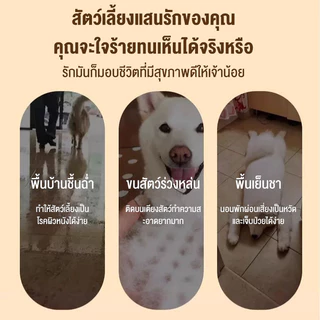 เตียงสัตว์เลี้ยง Dog Bed รับน้ำหนัก 150kgที่นอนหมา เตียงแมว ผ้าตาข่าย ระบายอากาศ ป้องกันความชื้นใหญ่ที่นอนสุนัขพัได้เปล