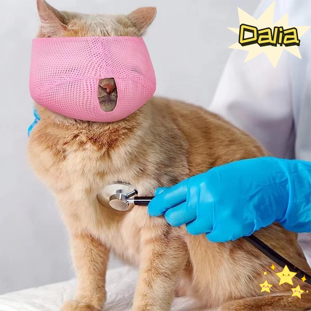 DALIA Anti Bite Muzzles, ตาข่าย Breathable Cat Muzzle, สีสัน Cat Mouth Guard Muzzle ลูกแมวถุงอาบน้ํา