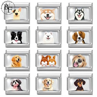 อีพ็อกซี่charmสุนัข ขนาด9มม.สร้อยข้อมือสแตนเลส ออกแบบเองได้ …