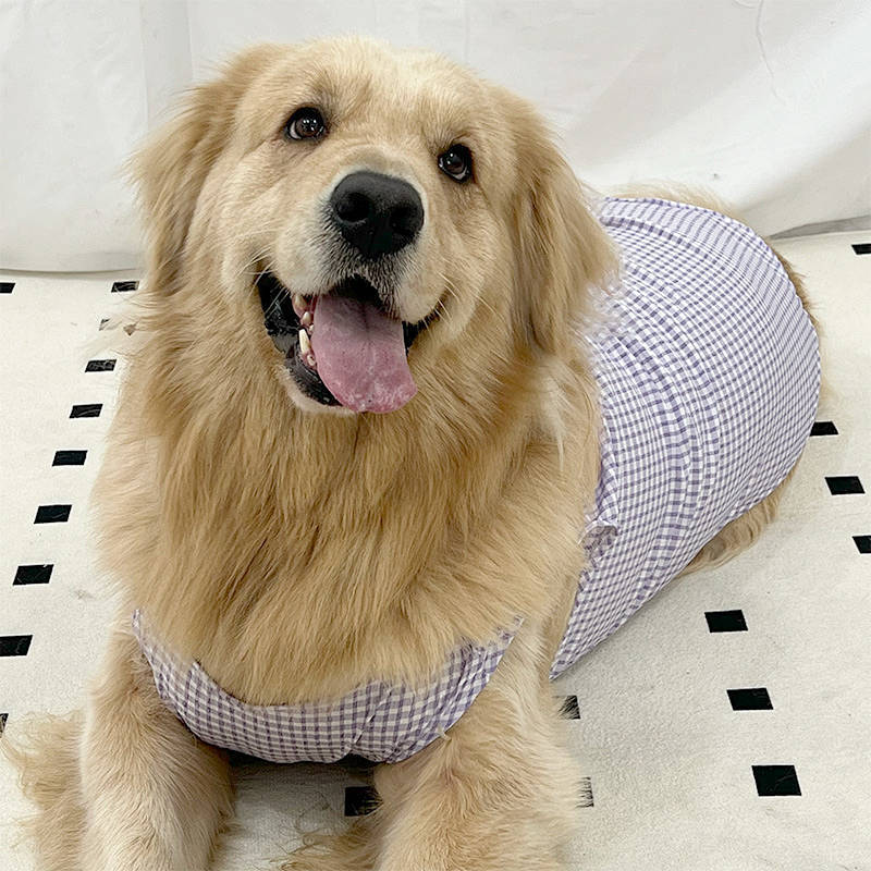New Pet Clothes Spring and Summer Cute Medium Large Dog Clothing Pet Clothing Golden Retriever Shoot