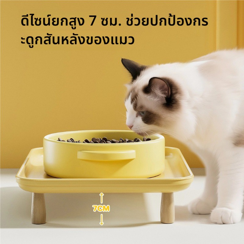 ชามแมว ชุดชามอาหารสัตว์เลี้ยงขอบสูง ป้องกันอาหารหก  ชามสุนัข ชามเซรามิก - รูปที่ 2