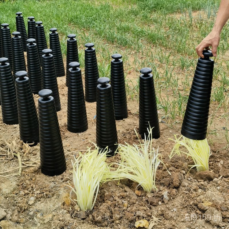 ใช้หลอดปลูก PVC Leek สีเหลือง Softened Leek สีเหลืองบังแดด Leek สีเหลืองสีดํา Leek สีเหลืองหลอดปลูกแ