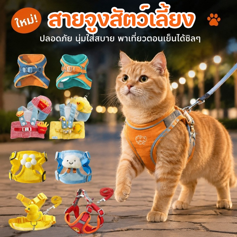 สายจูงสัตว์เลี้ยง ใหม่! เชือกจูงแมว ปลอกคอปรับขนาดได้ ติดล็อกปลอดภัย เปิดปิดง่าย ทนทานยั่งยืน เหมาะกับเดินเล่นช่วงสายคืน
