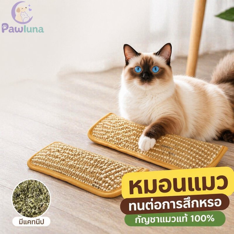 Catnip หมอนของเล่นสําหรับแมว Premium Natural 100 เปอร์เซ็นต์ Catnip เบาะแมวกันรอยขีดข่วน
