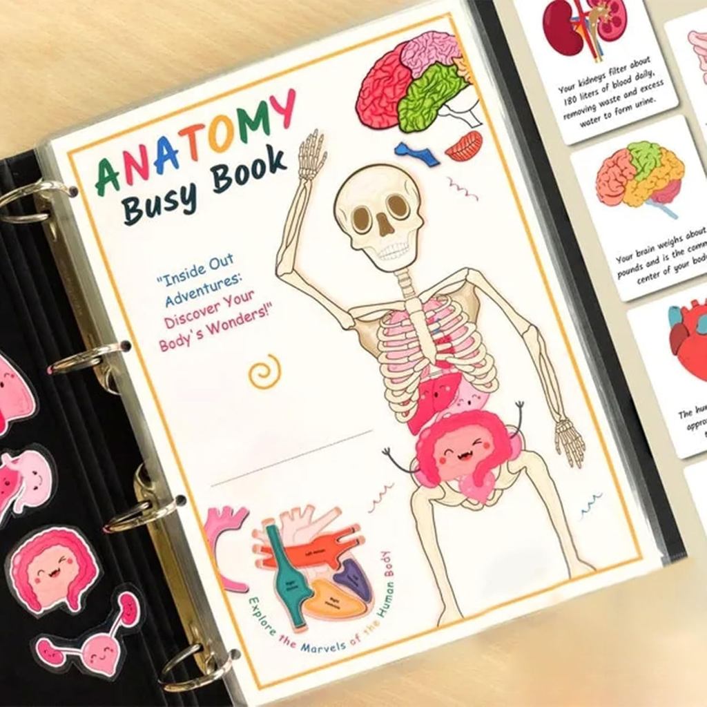 Human Body Anatomy Busy Book สําหรับเด็ก,Interactive Anatomy Binder Sensory การศึกษา Busy Book Human