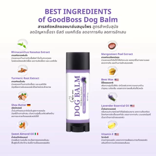 Goodboss Balm Stick บาล์มเเท่งสำหรับสัตว์เลี้ยง เชื้อรา ยีสต์ ลดคัน เกา ขนร่วง สูตรออแกนิค 5 กรัม