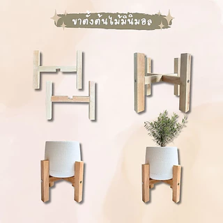 กระถางเบลล่า พร้อมขาตั้งไม้สยา เซตกระถางพร้อมขาตั้ง มินิมอล สีขาว ขนาด 5 7 9 นิ้ว ราคาถูก