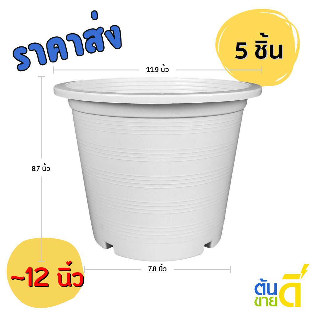 กระถาง กระถางต้นไม้ กระถางขาว เบอร์ 12 นิ้ว สีขาว 5 ใบ ชิ้น อัน