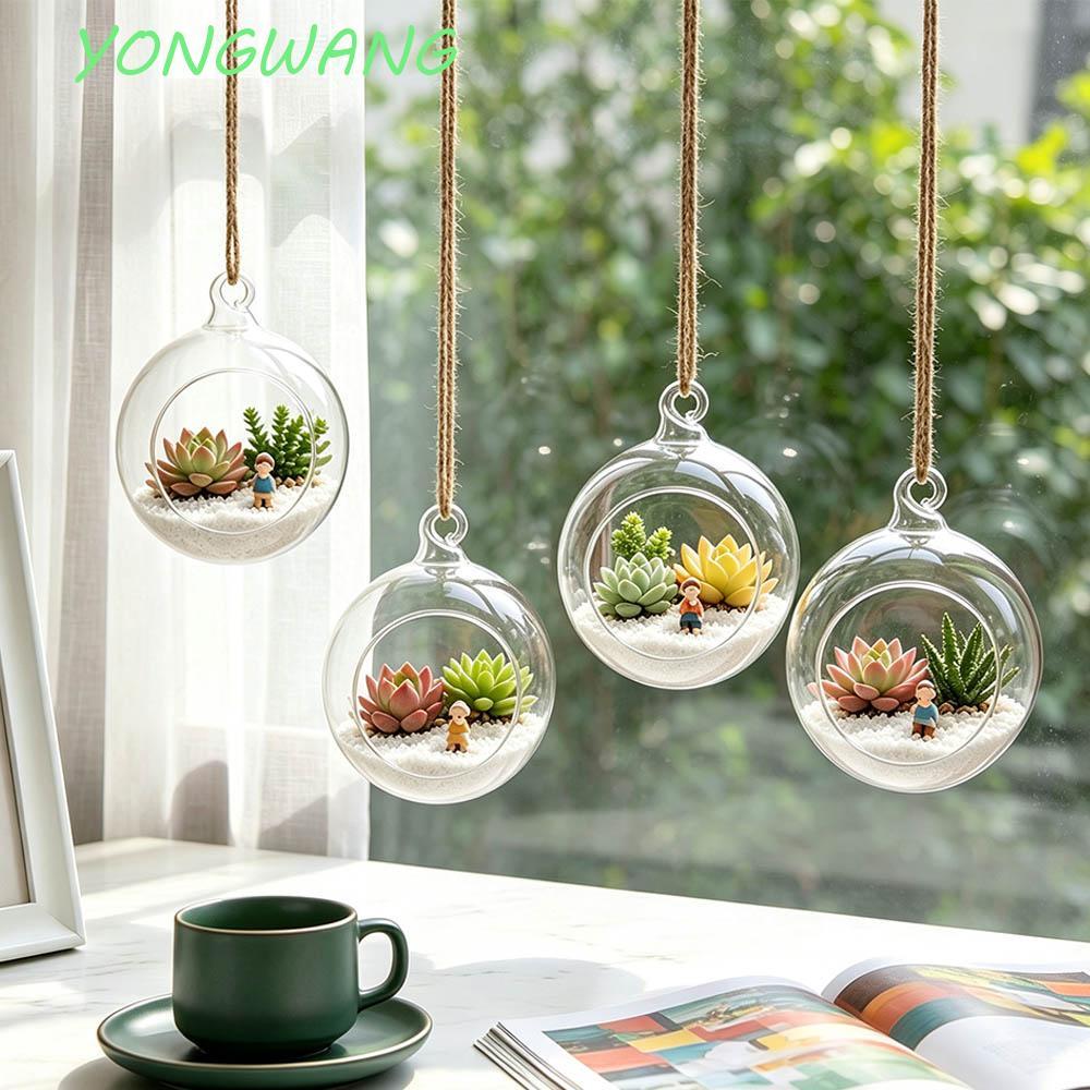 YONGWANG แขวนแจกันแก้ว,ใสแขวน Tealight ผู้ถือ,ดอกไม้หม้อ Borosilicate แก้ว 6/8/10/12/15 ซม.Ball Glass Planter สํานักงานตกแต่ง