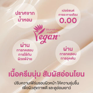 Innisfree Collagen Green Tea Ceramide Bounce Cream อินนิสฟรี คอลลาเจนกรีนทีเซราไมด์