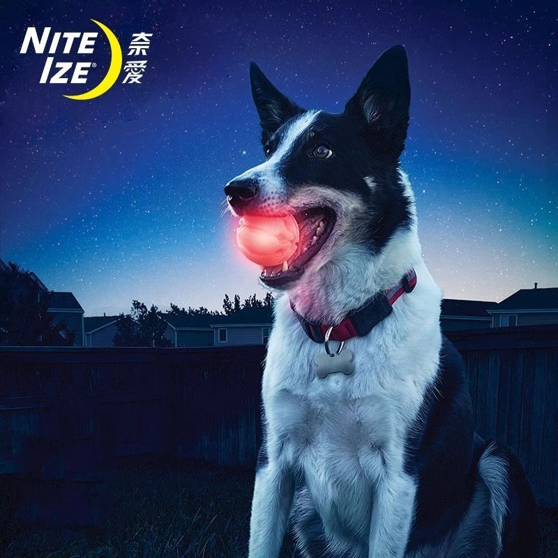 American Niteize Pet Leisure Toy LED Magic Ball Jumping Ball Luminous Ball Chewing Gum j