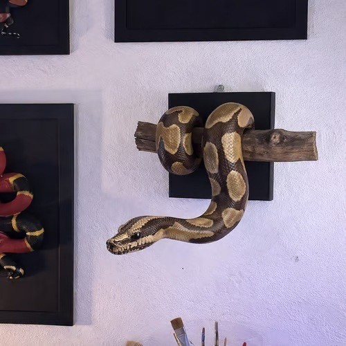 สินค้าใหม่ Golden Ball Python Wall Art Fun Golden Ball Python Wall Sculpture Wall Decorative