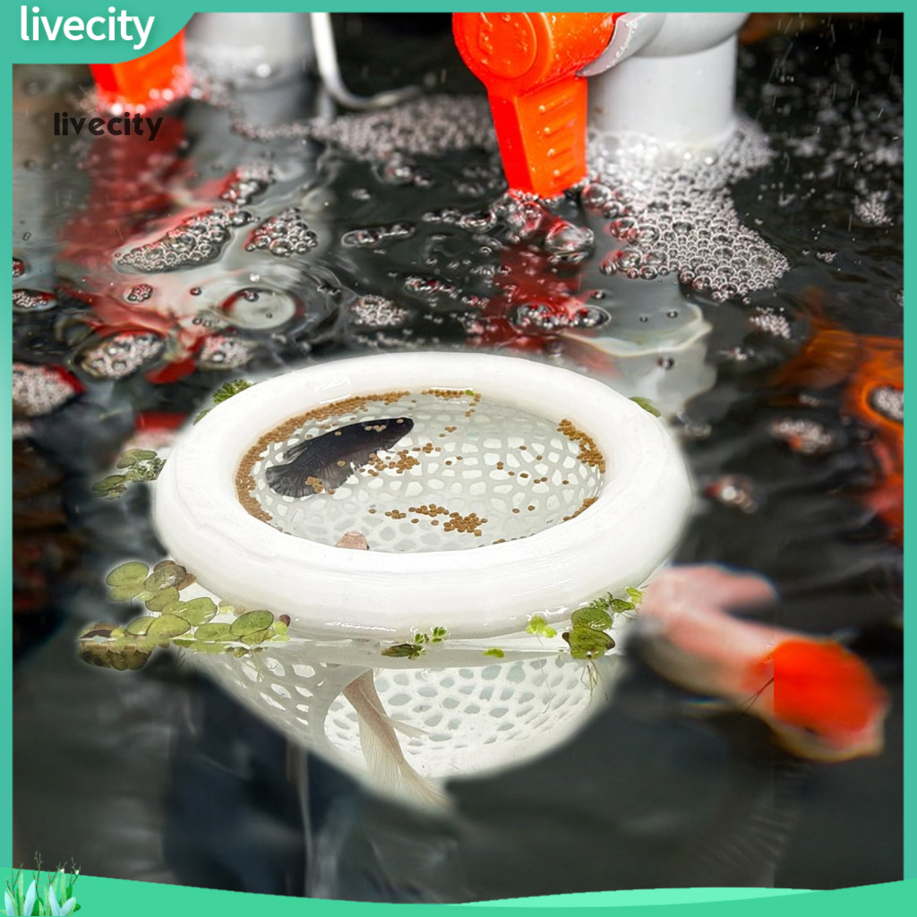 ความเป็นอยู่|  วัสดุปลา Aquarium ตกแต่ง 3d พิมพ์ Betta ถ้ําปลา 3d พิมพ์ลอย Betta Cave Hammock Feeder