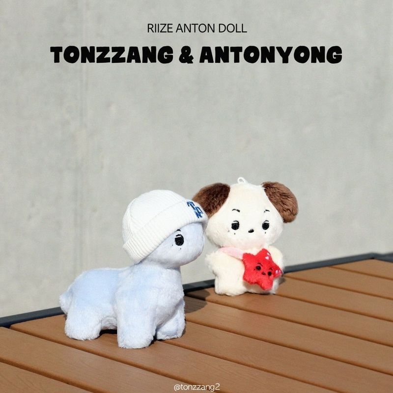 【พร้อมส่ง】riize ตุ๊กตา ตุ๊กตาเกาะ ตุ๊กตากวนๆ จี้พวงกุญแจ ตุ๊กตาหลอน ตุ๊กตา การ์ด riize album photoca
