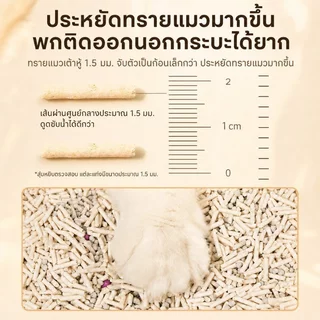 ทรายแมวเต้าหู้ ทรายเต้าหู้ ผสมเบนโทไนท์ ทรายเเมวผสม 6L ไม่ติดด้านล่าง กำจัดกลิ่น ปราศจากฝุ่น