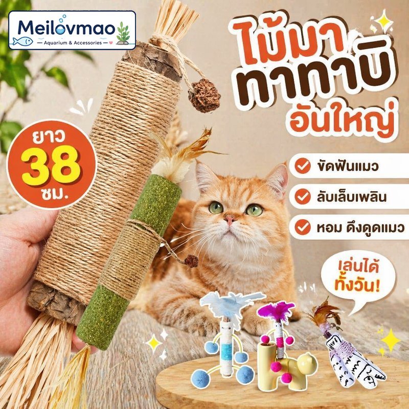 Meilovmao ไม้มาทาทาบิ ของเล่นแมว แทะขัดฟันแมว ก้านใหญ่ ทนทาน ช่วยผ่อนคลาย ลดกัดเฟอร์นิเจอร์