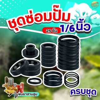 TH Tools ชุดซ่อมปั้มพ่นยาสามสูบ มี2ขนาดให้เลือก ขนาด 6หุนและ1นิ้ว ครบชุด ทั้งหมด 25 ชิ้น
