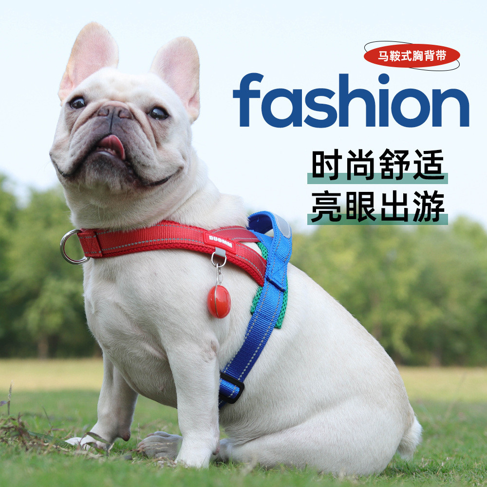 T Stylish pet harness and leash, contrasting color dog harness, widened webbing, French Bulldog harn