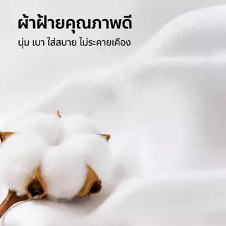 ถุงเท้ายาวผ้าฝ้าย เกาหลี สีพื้น แฟชั่น นุ่มสบาย ระบายอากาศ ซับเหงื่อ ลดกลิ่นอับ ไม่รัดขา ใส่เรียน ทำงาน กีฬา มี 6/12 คู่