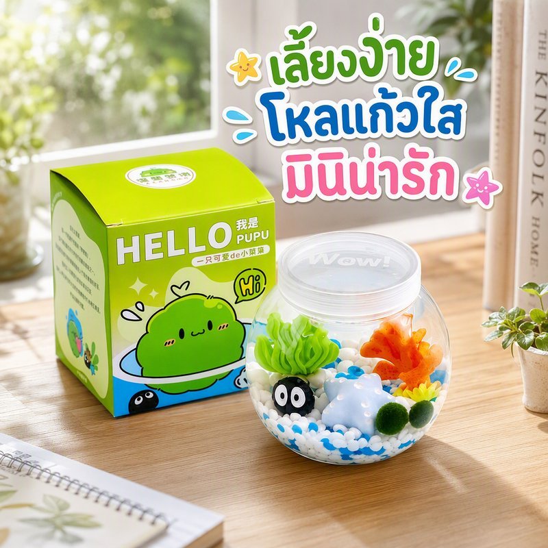 มาริโมะ บอล สาหร่ายน้ำ ขวดแก้ว จุกไม้ก๊อก ไฟ Led ชุดพร้อมขวด ของขวัญนำโชค แต่งโต๊ะ