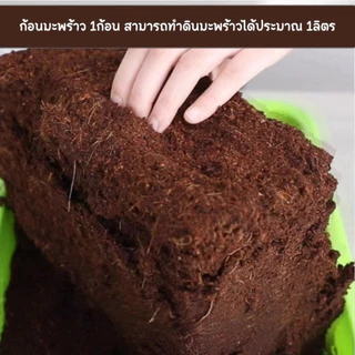 ขุยมะพร้าวอัดก้อน 350g+ ก้อน เทนนินต่ำ สำหรับปลูกต้นไม้ ขนาด ก้อน ฟูกว่าเดิม 4 เท่าเมื่อโดนCOD