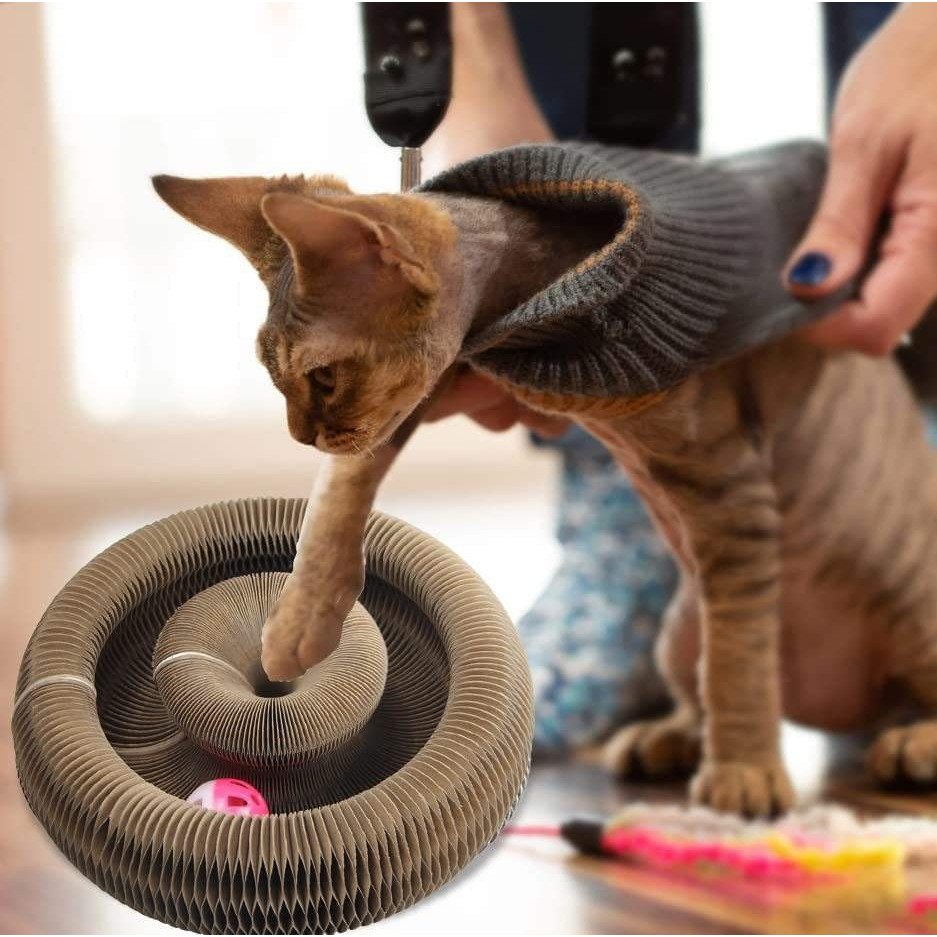 Magic Organ Cat Scratching Board Cat Scratcher CardBoard รอบลูกฟูกโพสต์ของเล่นสําหรับแมวบด Claw