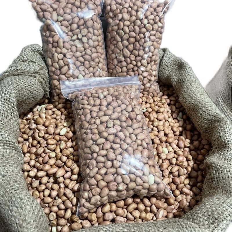 ถั่วลิสงดิบ น้ำหนัก 500-1000 กรัม ไซส์ 35-40 เมล็ดใหญ่ ราคาถูก สีเข้ม
