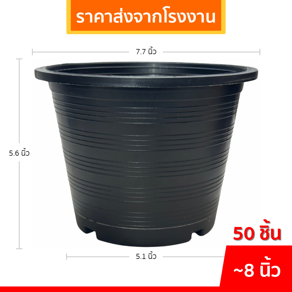 ถาดรอง กระถาง จานรองกระถางต้นไม้ เบอร์ 8 นิ้ว สีดำ 50 ใบ ชิ้น ยกมัด