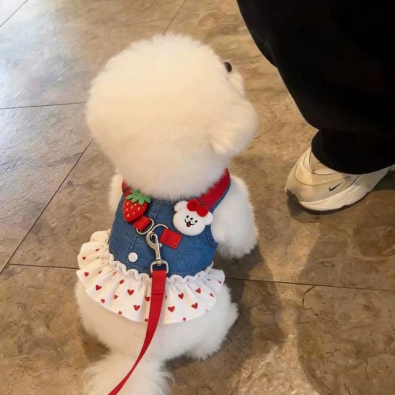 狗狗衣服牛仔卡通牵引裙宠物胸背猫咪公主裙薄款泰迪小型犬防掉毛Magical Cat Pet Supplies26.9.9