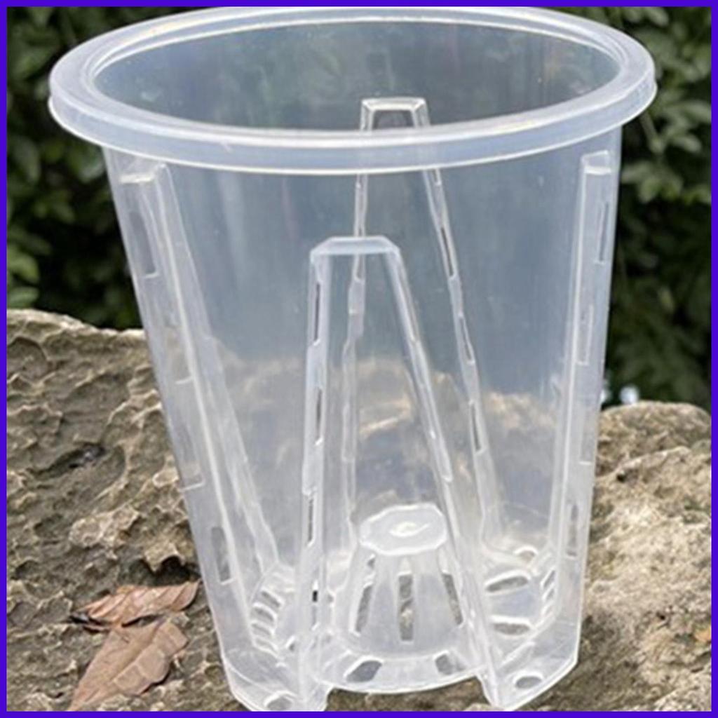 Orchid Planter Slotted Nursery Pot โปร่งใสคอนเทนเนอร์พืชสําหรับ Garden Nursery Repotting ปลูกในร่มกล