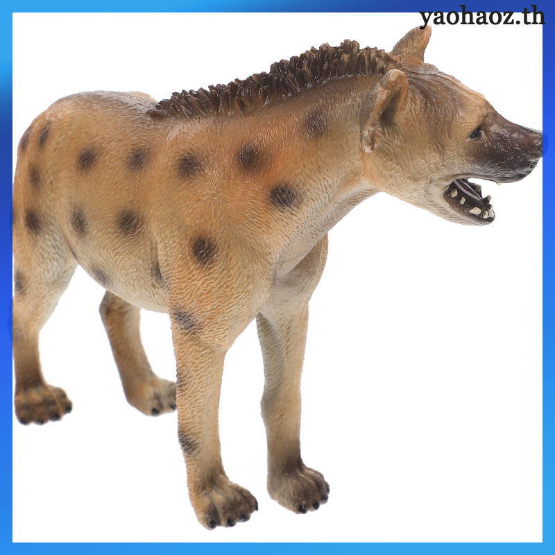 📦 Plastic Hyena ของตกแต่งโต๊ะ โมเดลของเล่นสัตว์ป่า Hyena พลาสติก