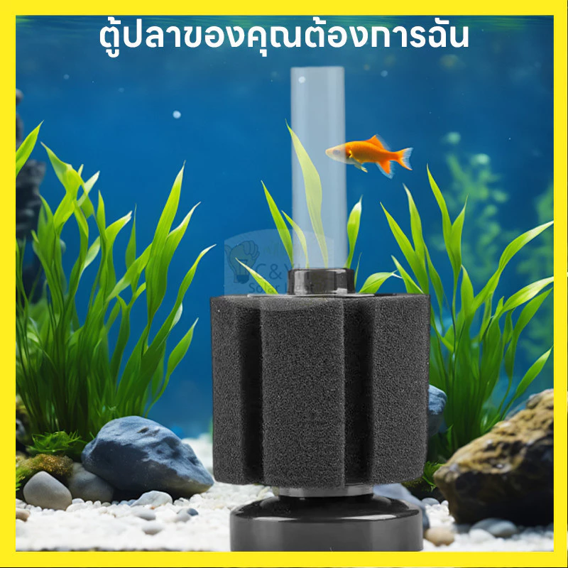 【ลดราคาพิเศษ】 กรองฟองน้ำตู้ปลา ฟองน้ำกรองชีวภาพ ฟองน้ำกรองละเอียด น้ำใส ปลาแข็งแรง 💧 thumbnail 4