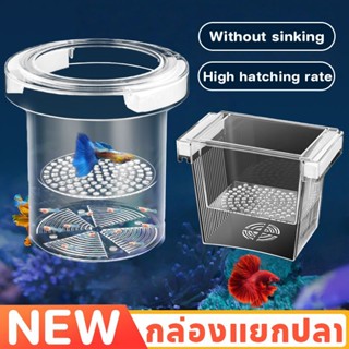 กล่องแยกปลา ลอยอยู่ในน้ำ ตู้ปลากัดป้องกัน ปกป้องไข่ปลา ปกป้อ…