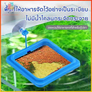 ⚡สต็อกไทย⚡วงแหวนให้อาหารปลาลอยน้ำ ป้องกันอาหารกระจาย ปรับระดับน้ำอัตโนมัติ พร้อมที่ดูดติดตู้ กันอาหารไหลเข้าตัวกรอง
