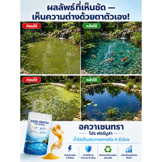 【คืนความใส】ผงคืนชีพสระปลา ปรับสภาพน้ำ/เพิ่มออกซิเจน/ลดแอมโมเนีย/ย่อยสลายตะกอน/ผงบำบัดน้ำ/ผงฟื้นฟูน้ำ/สระปลา