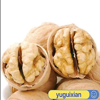 วอลนัท (薄皮核桃)500g วอลนัทเป็นถั่วชนิดหนึ่งที่เปลือกภายนอกมีลักษณะแข็งๆ แต่เมล็ดข้างในอร่อยมากๆและยังมีประโยชน์ต่อสุขภาพ